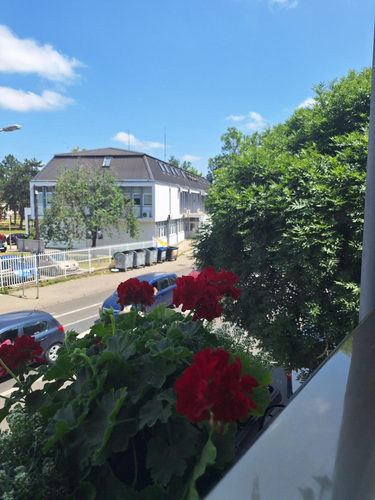 Garni Hotel Ema Крагуевац Екстериор снимка