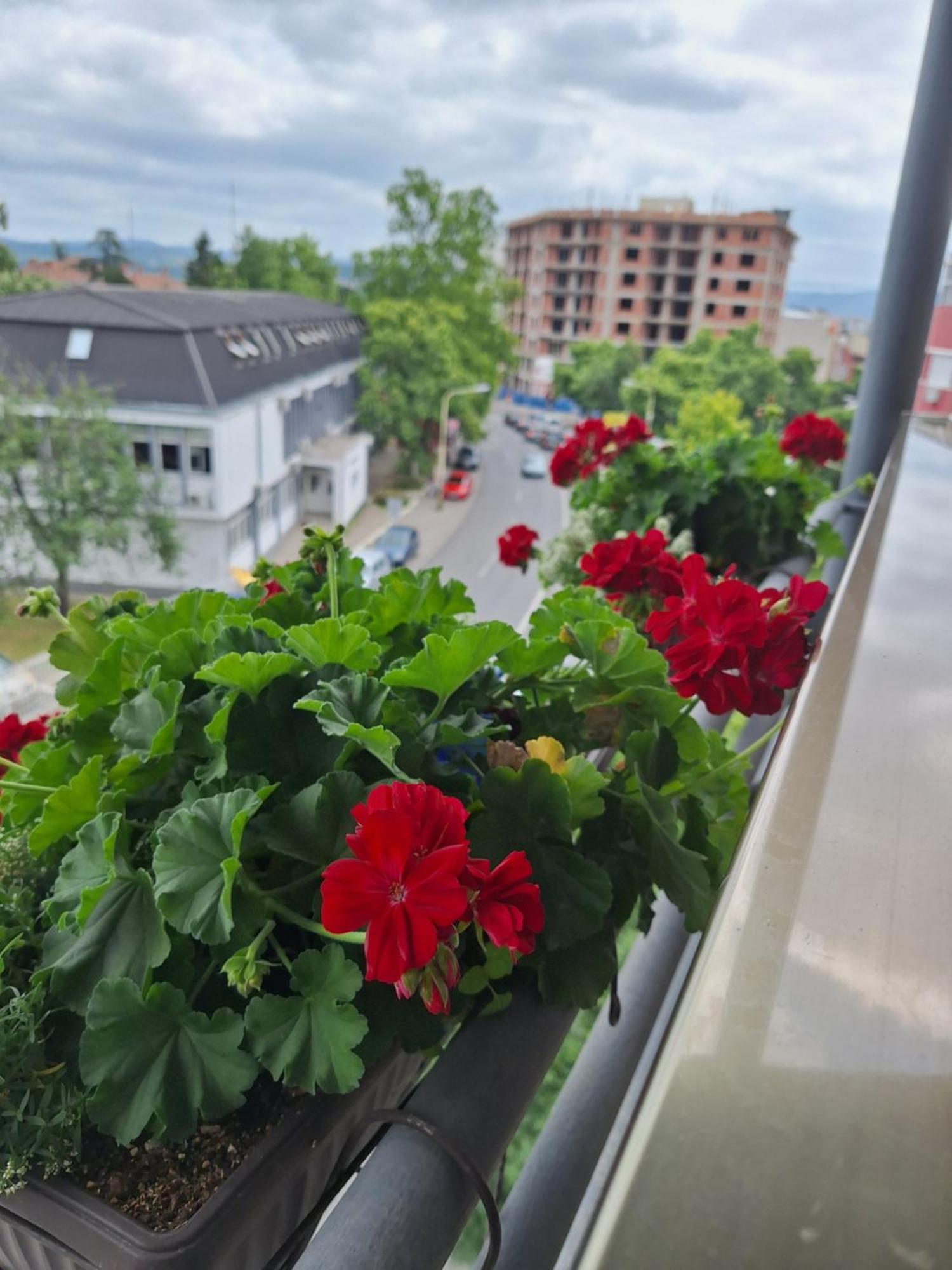 Garni Hotel Ema Крагуевац Екстериор снимка